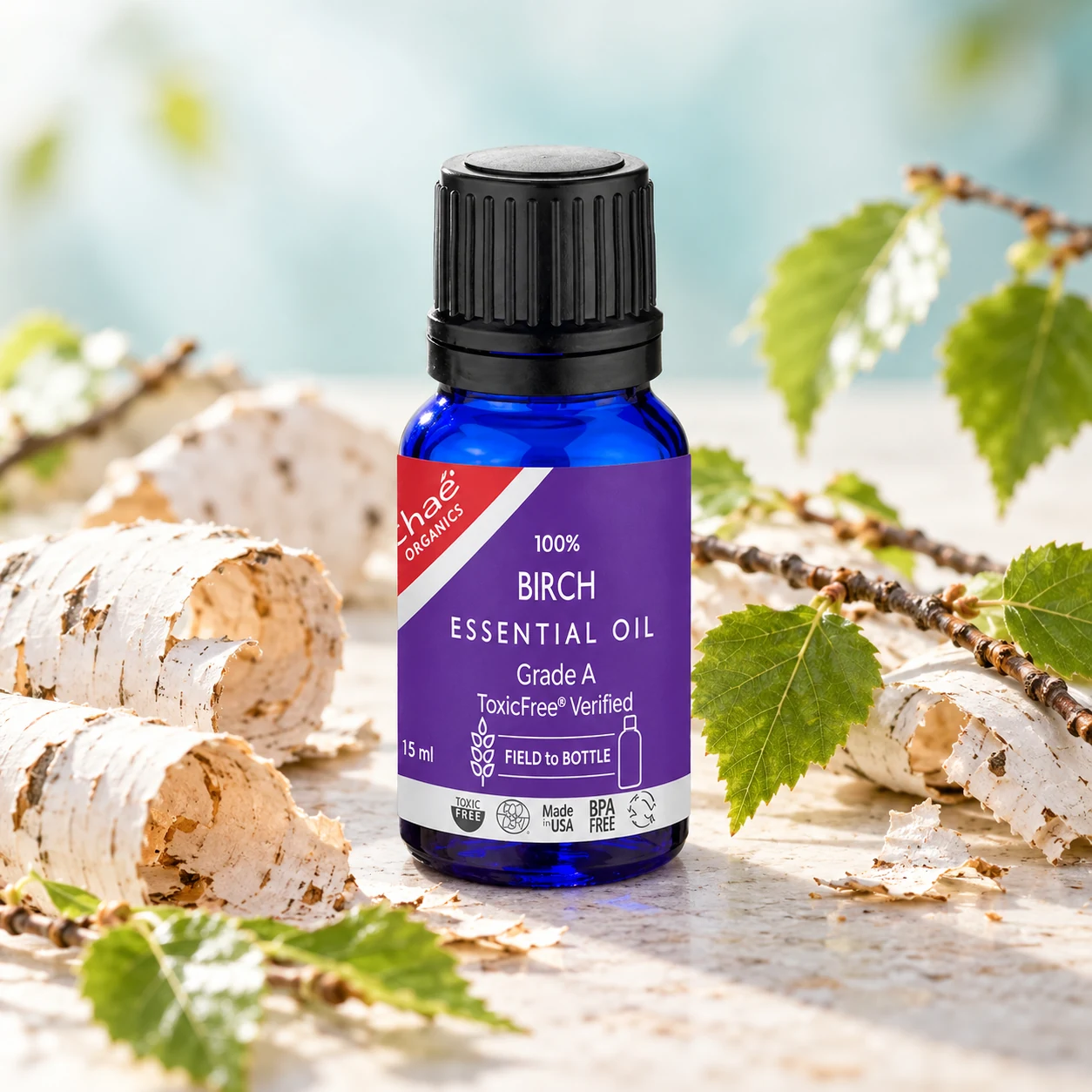 Birch Essential Oil with curls of white birch bark and a few small birch twigs with green leaves