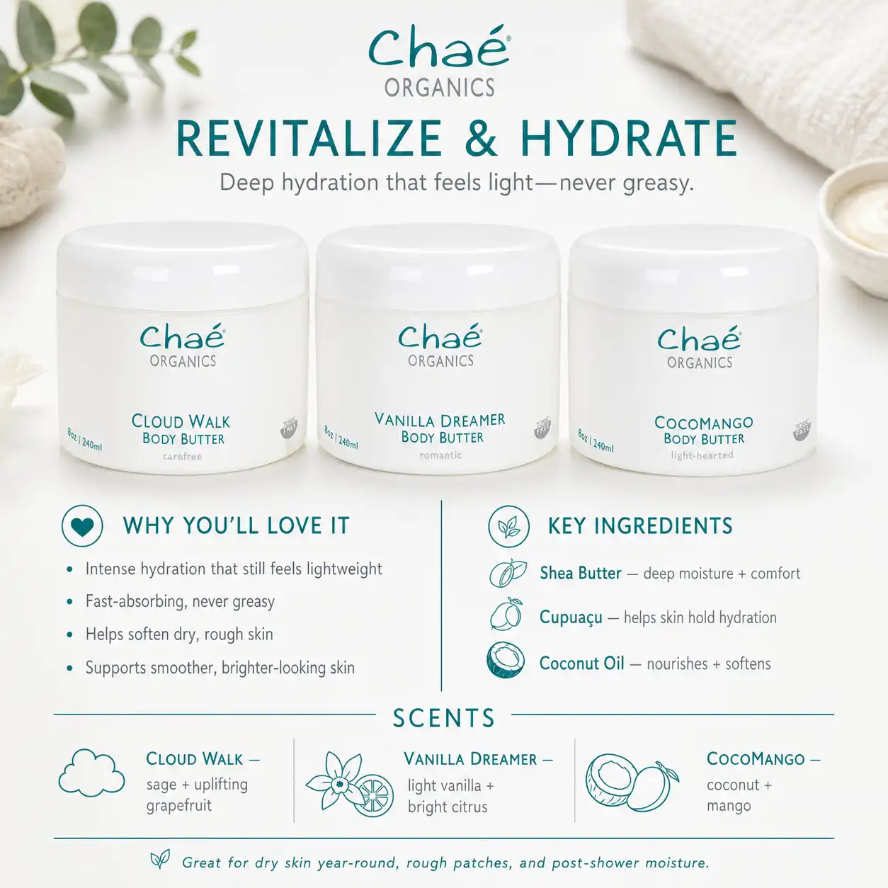 Body Butter – Cloud Walk – Vanilla Dreamer – Coco Mango