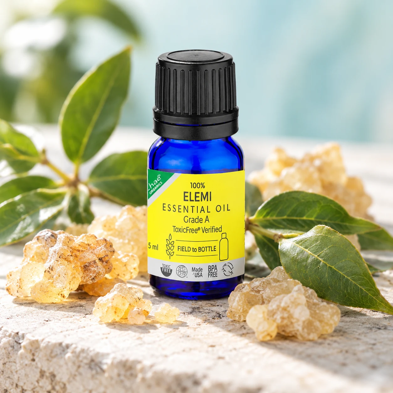Elemi Essential Oil with pieces of pale golden elemi resin and a few green leaves