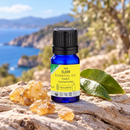 Chaé Elemi Essential Oil on pale driftwood beside honey-gold elemi resin and green leaves