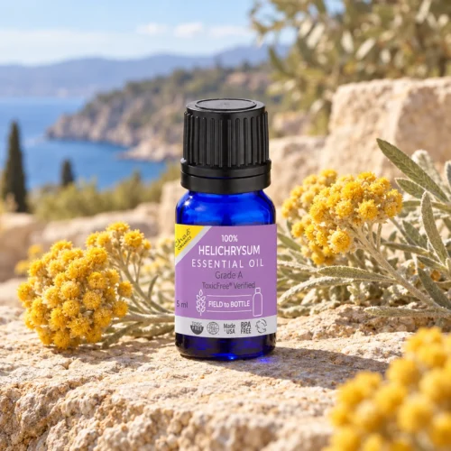 Chaé Helichrysum Essential Oil on sunlit stone with golden helichrysum flowers