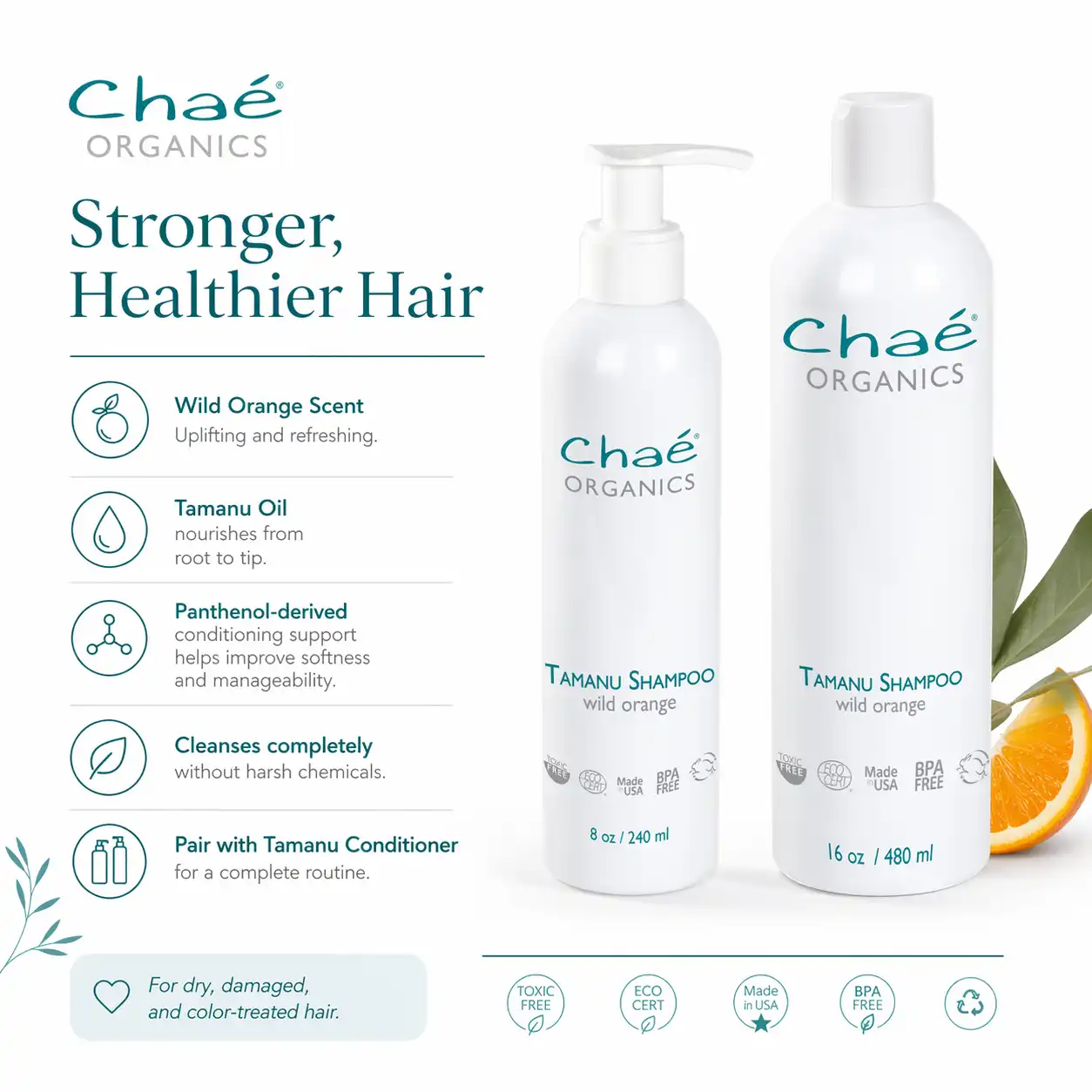 Tamanu Shampoo – Wild Orange