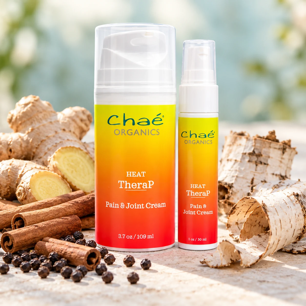 HEAT TheraP with cinnamon sticks, a knob of fresh ginger root, black peppercorns and a few curls of birch bark