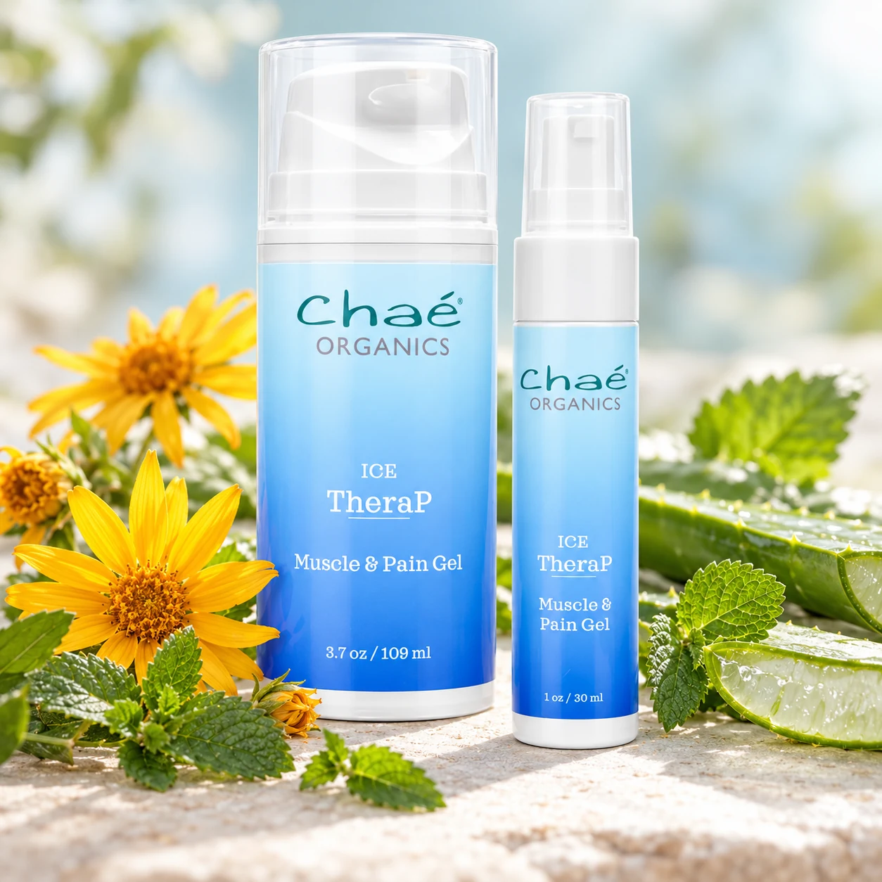 ICE TheraP with a few yellow arnica flowers, a split fresh aloe vera leaf and fresh lemon balm leaves