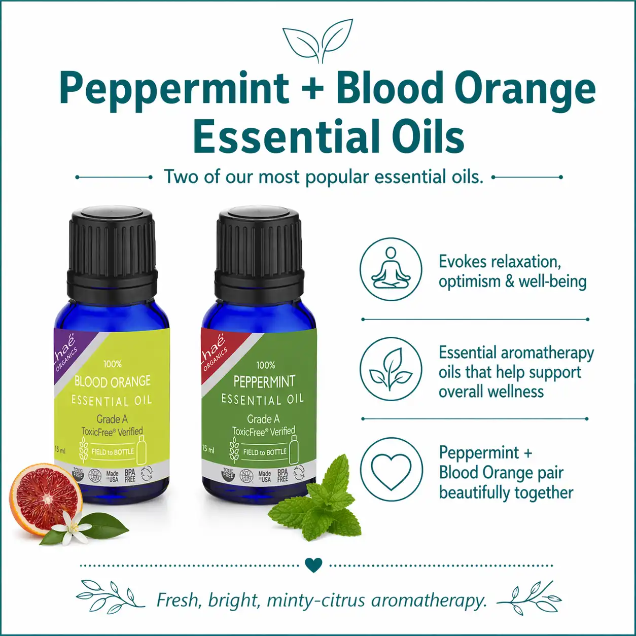 Essential Oil Aromatherapy – Bundled Kit