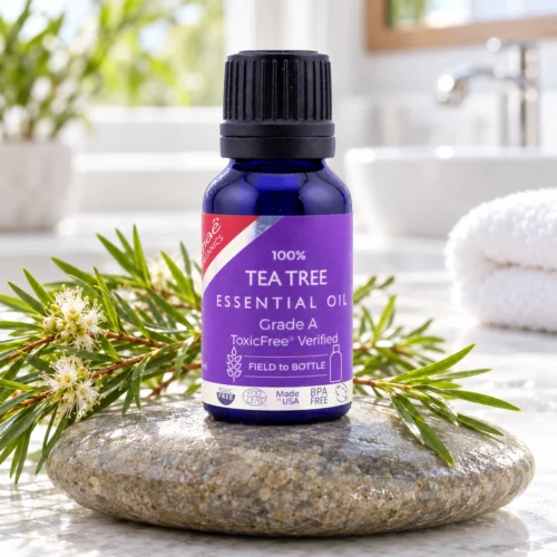 Chaé Tea Tree Essential Oil on a river stone with tea tree sprigs