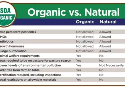 Organic+vs+Natural-640w