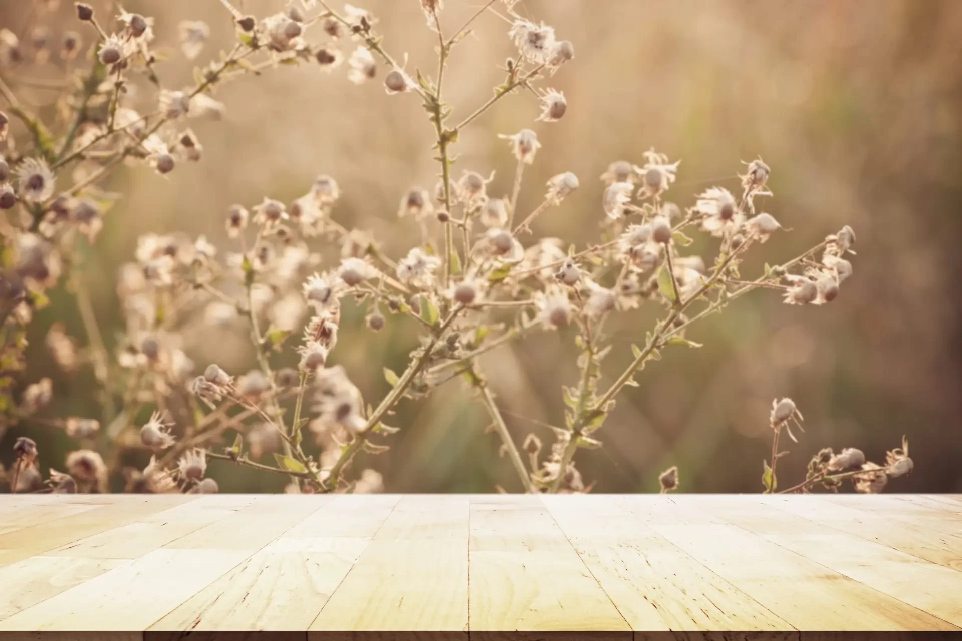 We submit our products for review and certification by organizations like The ToxicFree® Foundation and Leaping Bunny to ensure our products meet the strict guidelines.